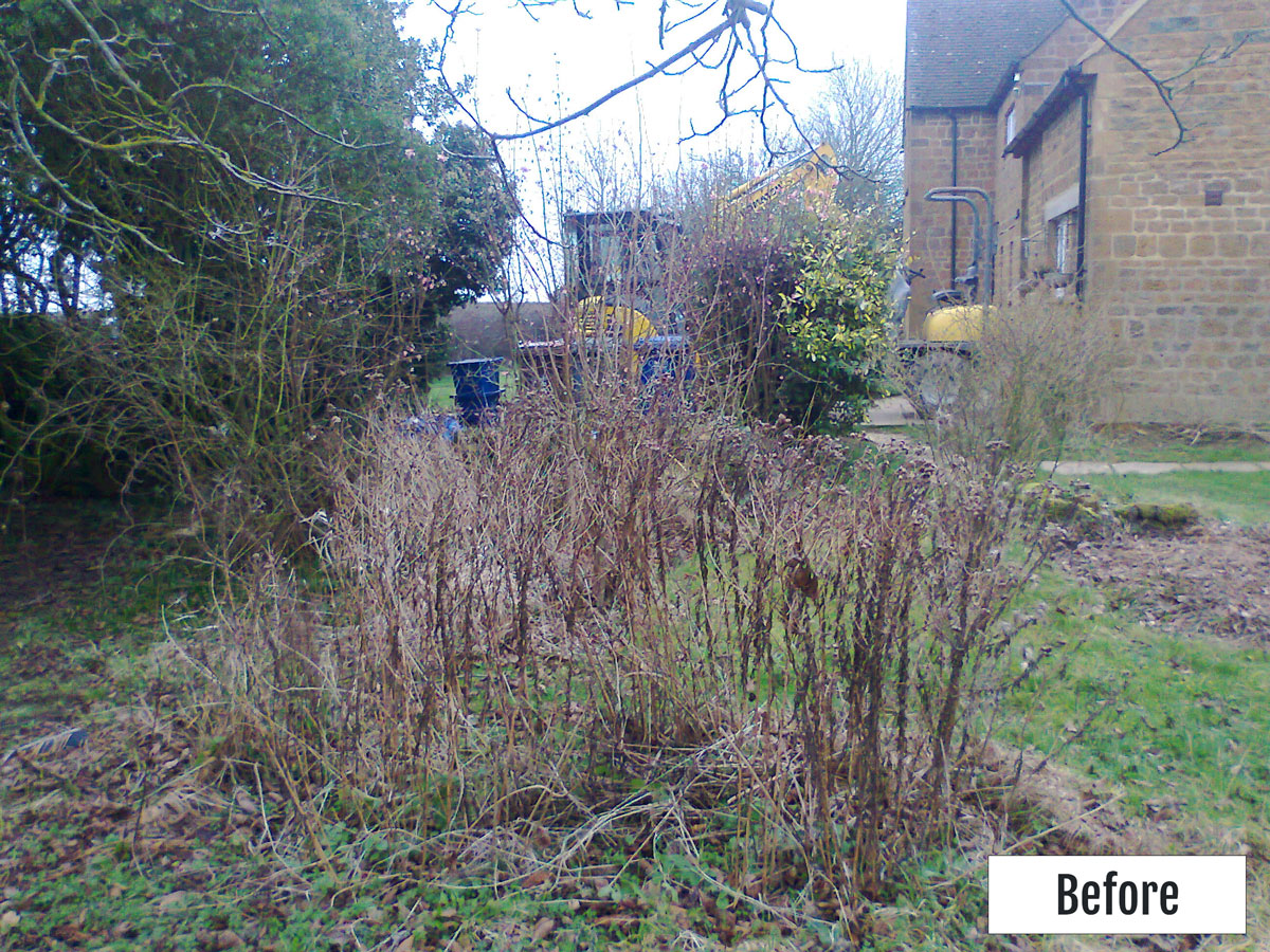 before picture of front garden where drive now is